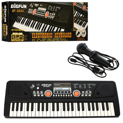 Дитячий синтезатор на 49 клавіш, USB, mp3, запис, демо, від мережі BF-530A2